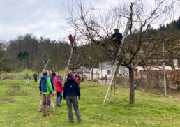 {{brizy_dc_image_alt entityId=