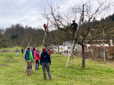 {{brizy_dc_image_alt entityId=